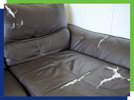 Photo of a ripped couch